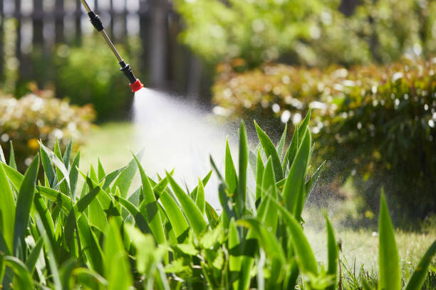 24/7 Emergency Mosquito Control experts in Ahtanum, WA